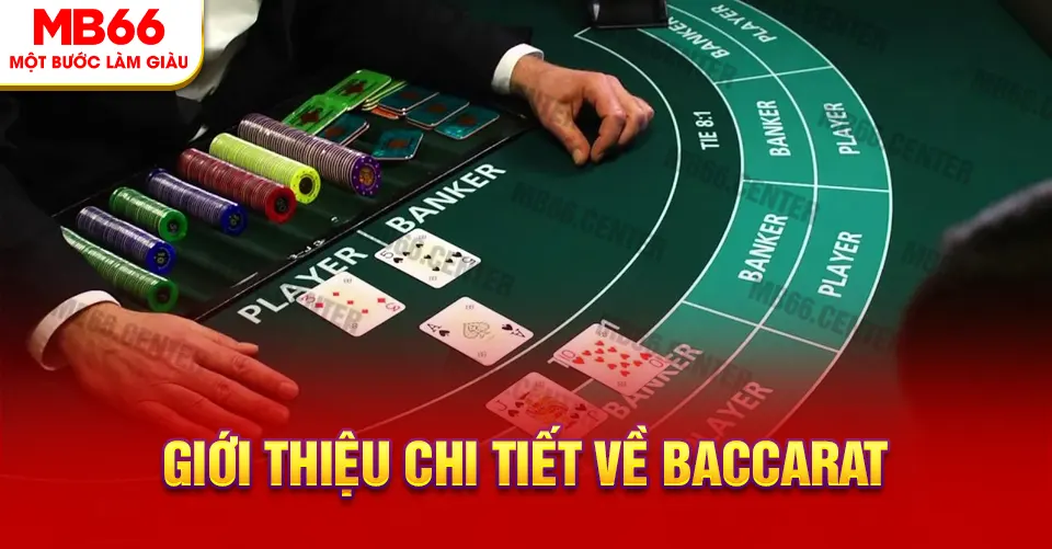 Baccarat Mb66