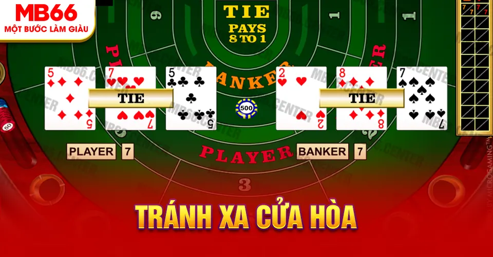 Không nên cược cửa hòa trong Baccarat