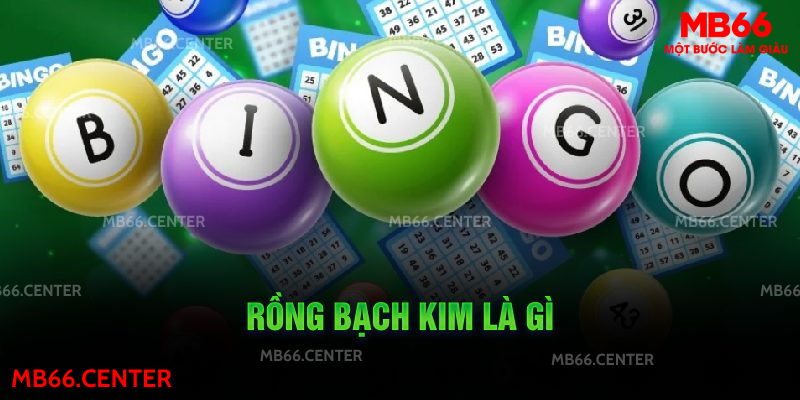 Rồng bạch kim là gì? 